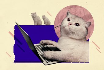 We ranked famous internet cats from meme-worthy to unmeme-able