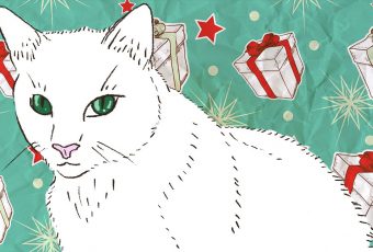 On gift-giving and life lessons, as told by a new cat mom