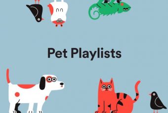 Attention, pet owners: Spotify for Pets is a thing now