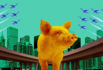 I, too, would like to run freely in the flyover like this pig in Cebu